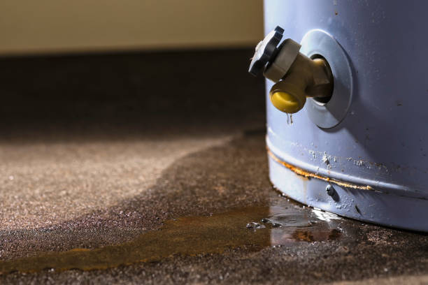 Best Residential water damage restoration  in Darien, WI