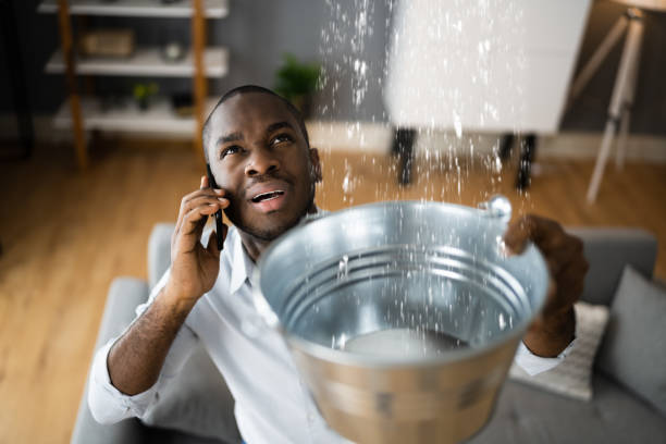 Trusted Darien, WI Water damage restoration Experts