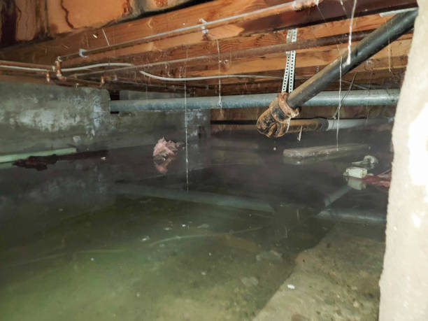 Best Commercial water damage restoration  in Darien, WI