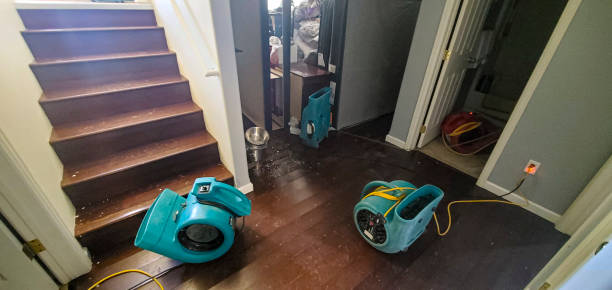 Best Local water damage restoration  in Darien, WI