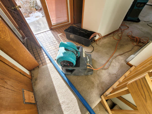Sewage cleanup and water damage restoration in Darien, WI