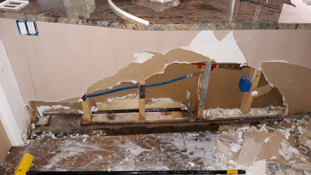 Best Fire Damage Restoration  in Darien, WI