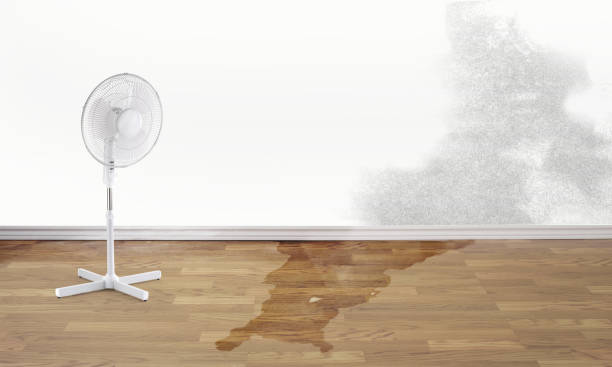  Darien, WI Water damage restoration Pros