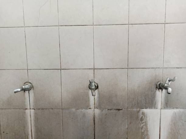 Best Carpet water damage restoration  in Darien, WI