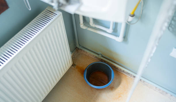 Best Mold removal after water damage  in Darien, WI