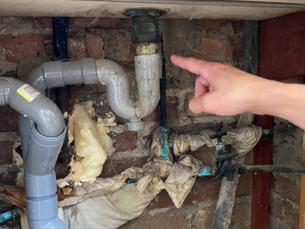 Best Ceiling water damage repair  in Darien, WI