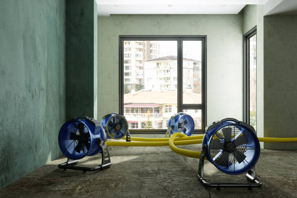 Best Ceiling water damage repair  in Darien, WI